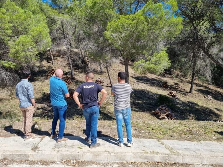 Los ediles visitaron las zonas donde se estaban realizando las tareas de limpieza de parcelas