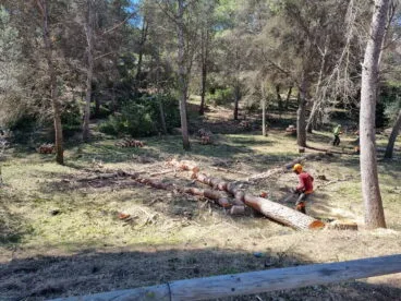 Limpieza de parcelas en Xàbia