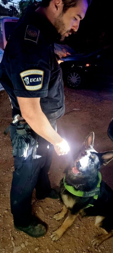 El perro policía Kosmo de la unidad canina que participó en la operación de Xàbia