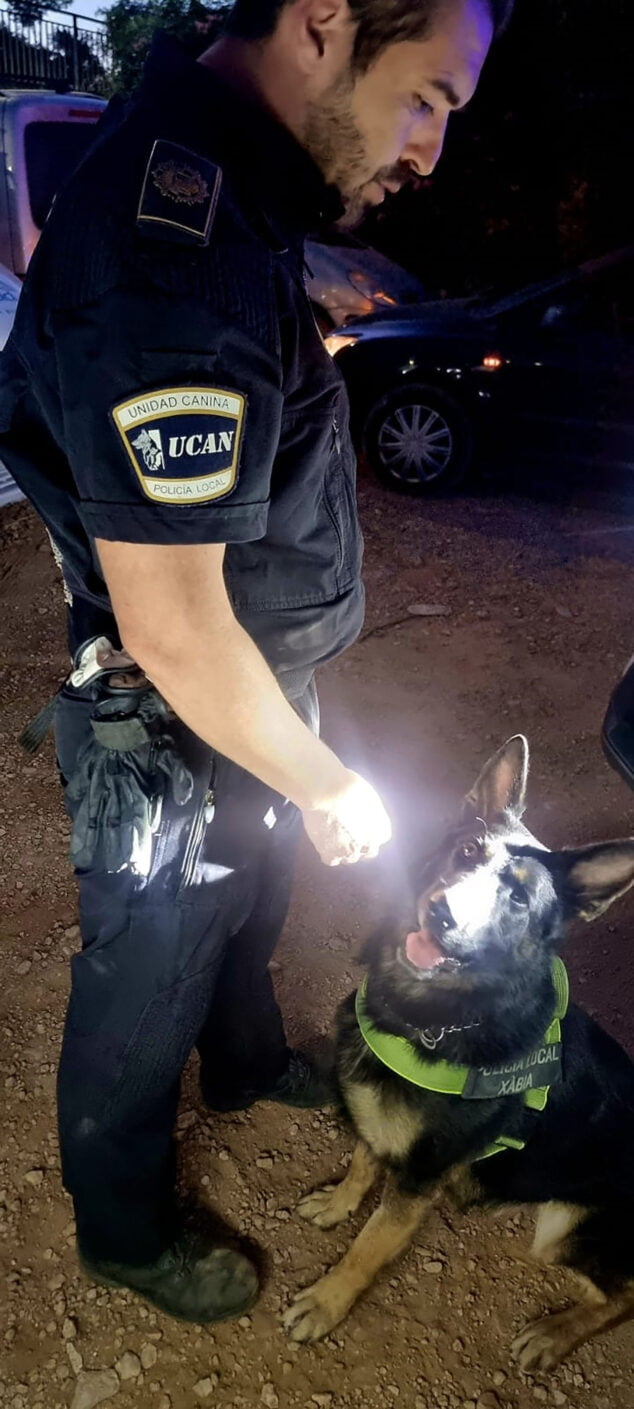 Imagen: El perro policía Kosmo de la unidad canina que participó en la operación de Xàbia