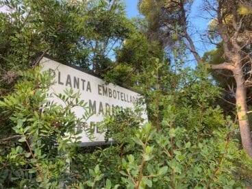 El cartel de la empresa se esconde entre los arbustos
