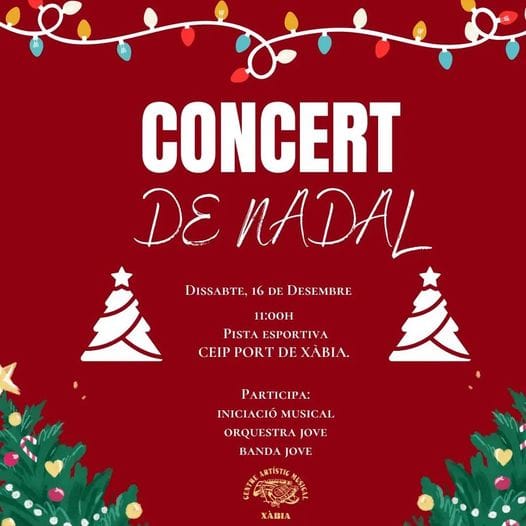 Imagen: Concert de Nadal del CAM