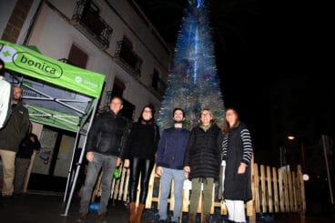 Encendido del árbol sostenible de Xàbia (12)