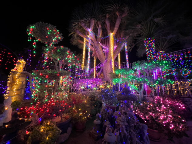 Imagen: Iluminación de Navidad en el jardín de la Casa de José Marcos y Celeste de Xàbia