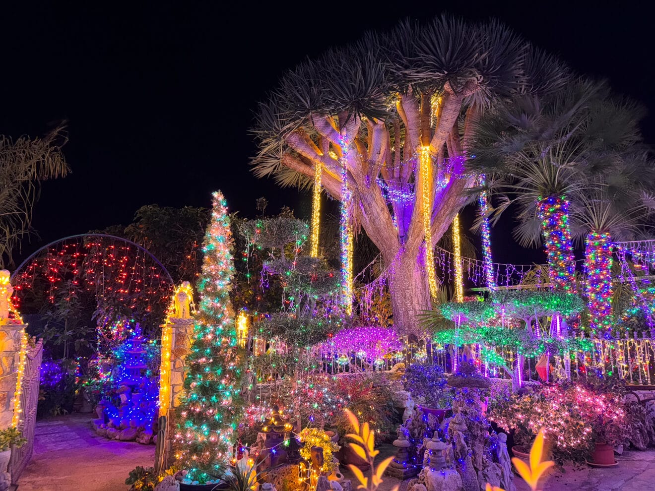 Iluminación de Navidad en la Casa de José Marcos y Celeste de Xàbia (4)