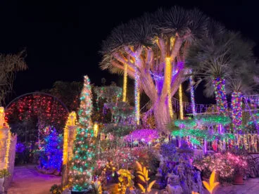 Iluminación de Navidad en la Casa de José Marcos y Celeste de Xàbia (4)