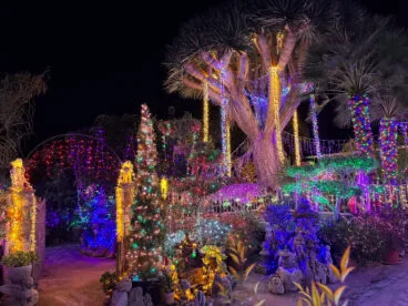 Iluminación de Navidad en la Casa de José Marcos y Celeste de Xàbia (5)