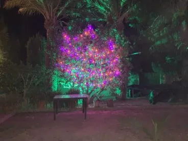 Iluminación navideña en la Casa de Mariela y Nestor