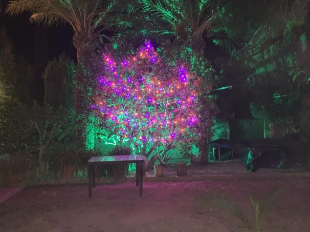 Imagen: Iluminación navideña en el jardín de la Casa de Mariela
