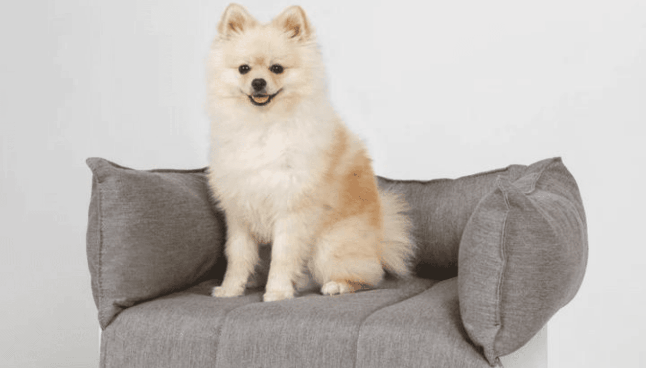 Sorteo Ok Sofas