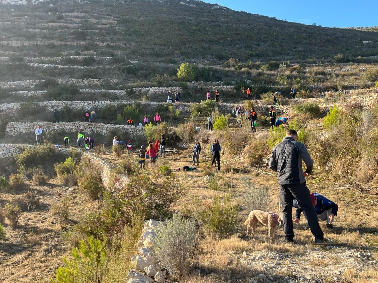 Reforestación de la Granadella en el Dia de l'Arbre 2024