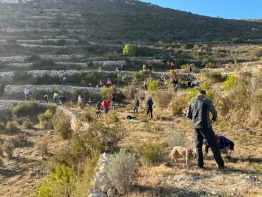 Reforestación de la Granadella en el Dia de l’Arbre 2024
