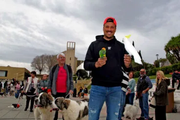 Bendición de animales por Sant Antoni Xàbia (14)