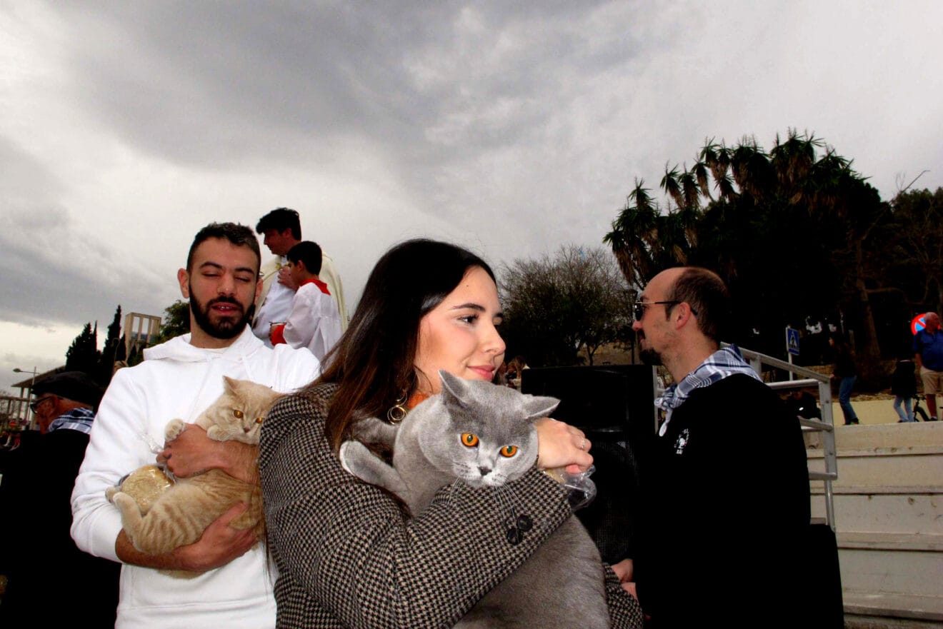 Bendición de animales por Sant Antoni Xàbia (17)