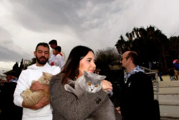 Bendición de animales por Sant Antoni Xàbia (17)