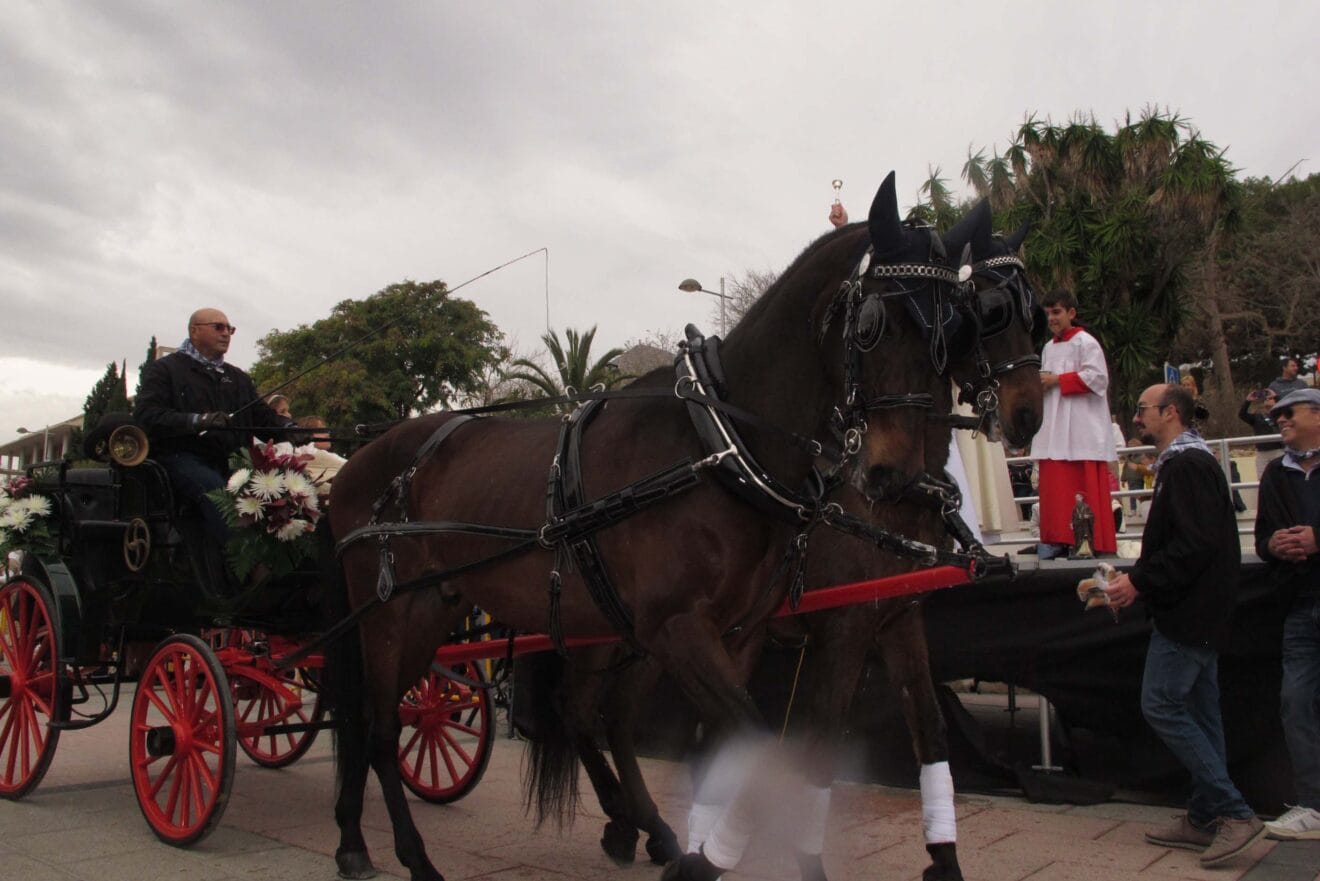 Bendición de animales por Sant Antoni Xàbia (21)