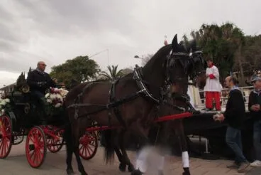Bendición de animales por Sant Antoni Xàbia (21)