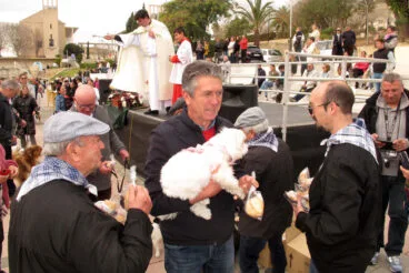 Bendición de animales por Sant Antoni Xàbia (7)