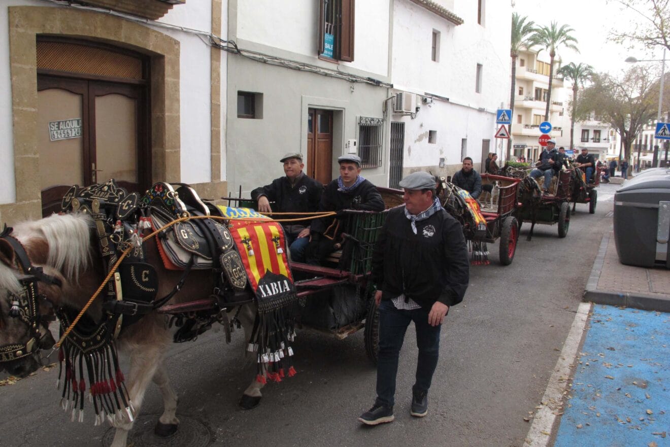 Desfile de Caballerías en honor a Sant Antoni Xàbia 2024