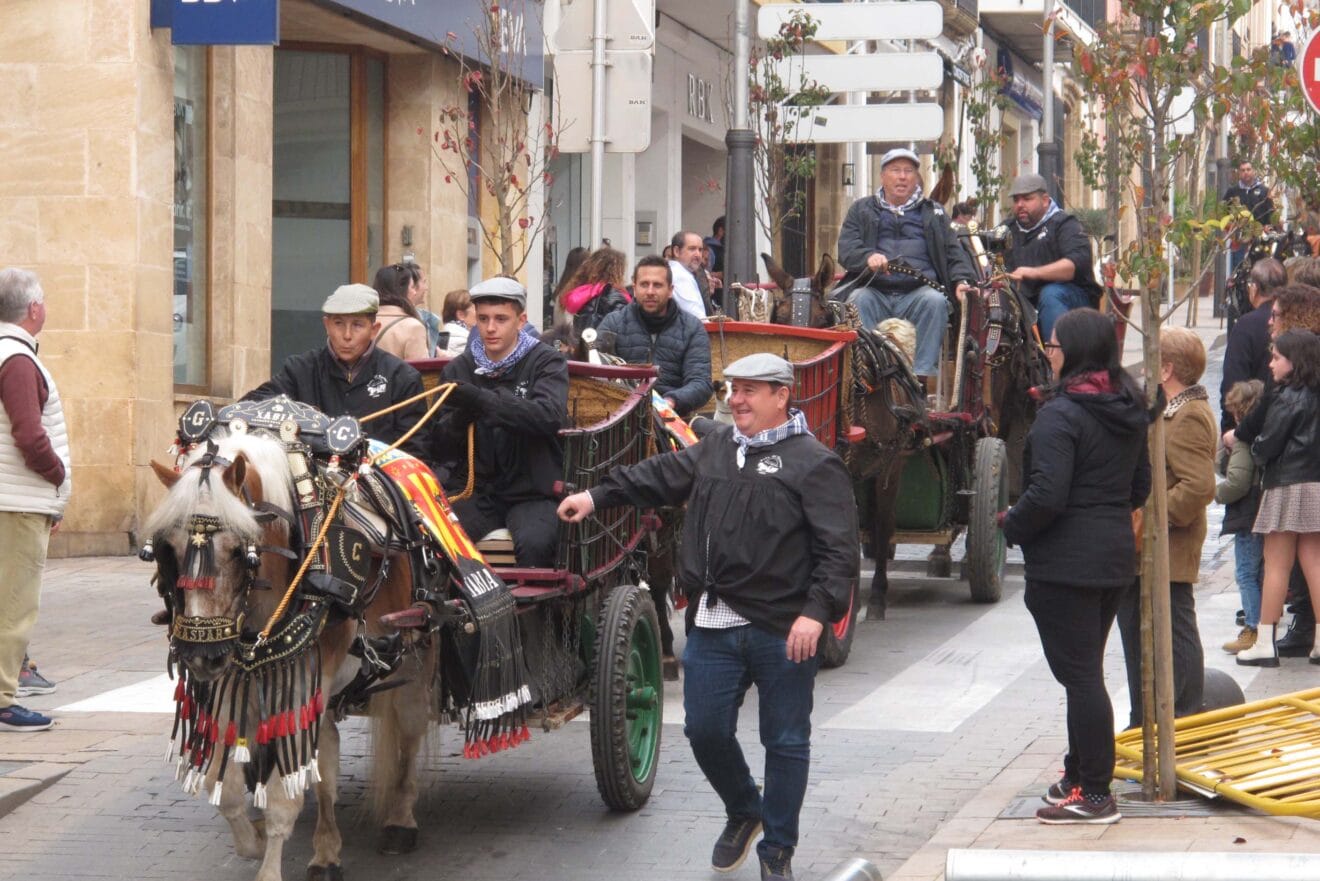 Desfile de Caballerías en honor a Sant Antoni Xàbia 2024 (3)