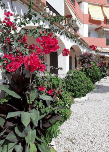 Exterior de esta urbanización