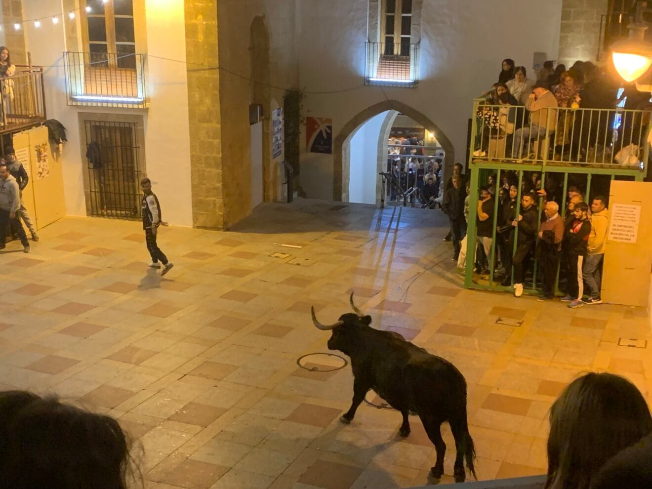Sesión taurina de las fiestas de Sant Sebastià Xàbia 2024 (5)