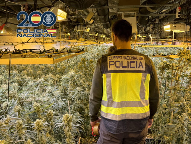Imagen: Policía Nacional desarticula una banda criminal dedicada al cultivo y venta de marihuana indoor