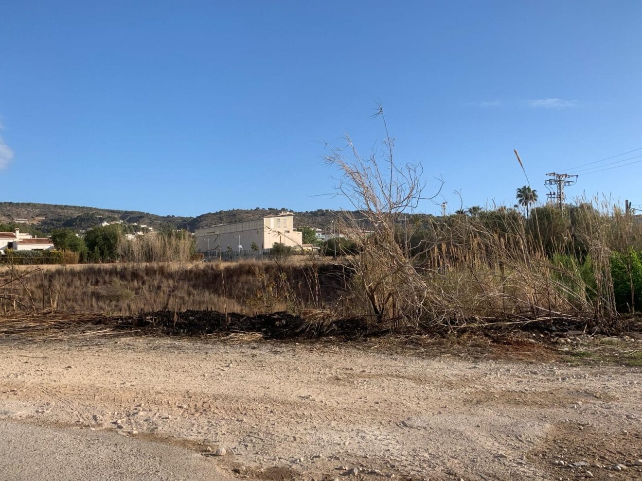 Cañar quemado en el río Gorgos de Xàbia
