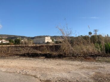 Cañar quemado en el río Gorgos de Xàbia