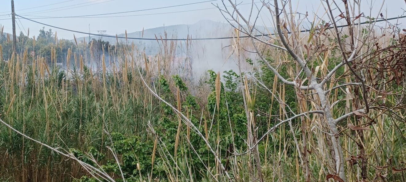 Columna de humo del incendio en el cauce del río | Foto del anterior incendio