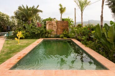 Piscina biológica en un espacio de jardín tropical