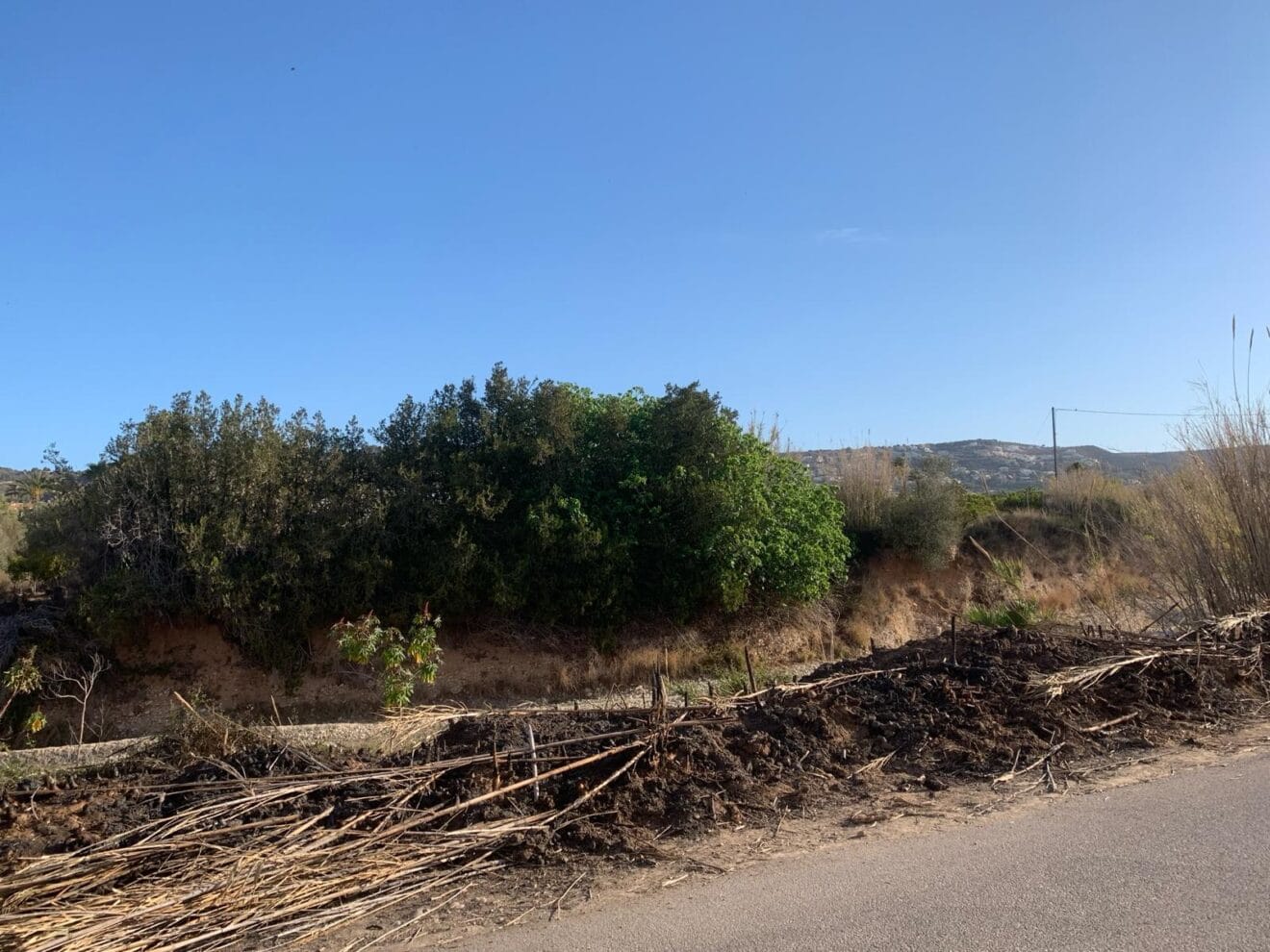 Restos de cañar ardidos en el río Gorgos