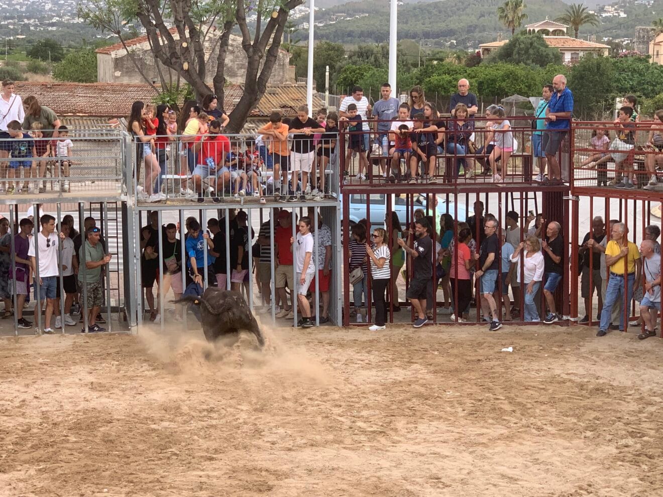 Ambiente en la sesión taurina de Fogueres Xàbia 2024 (23)