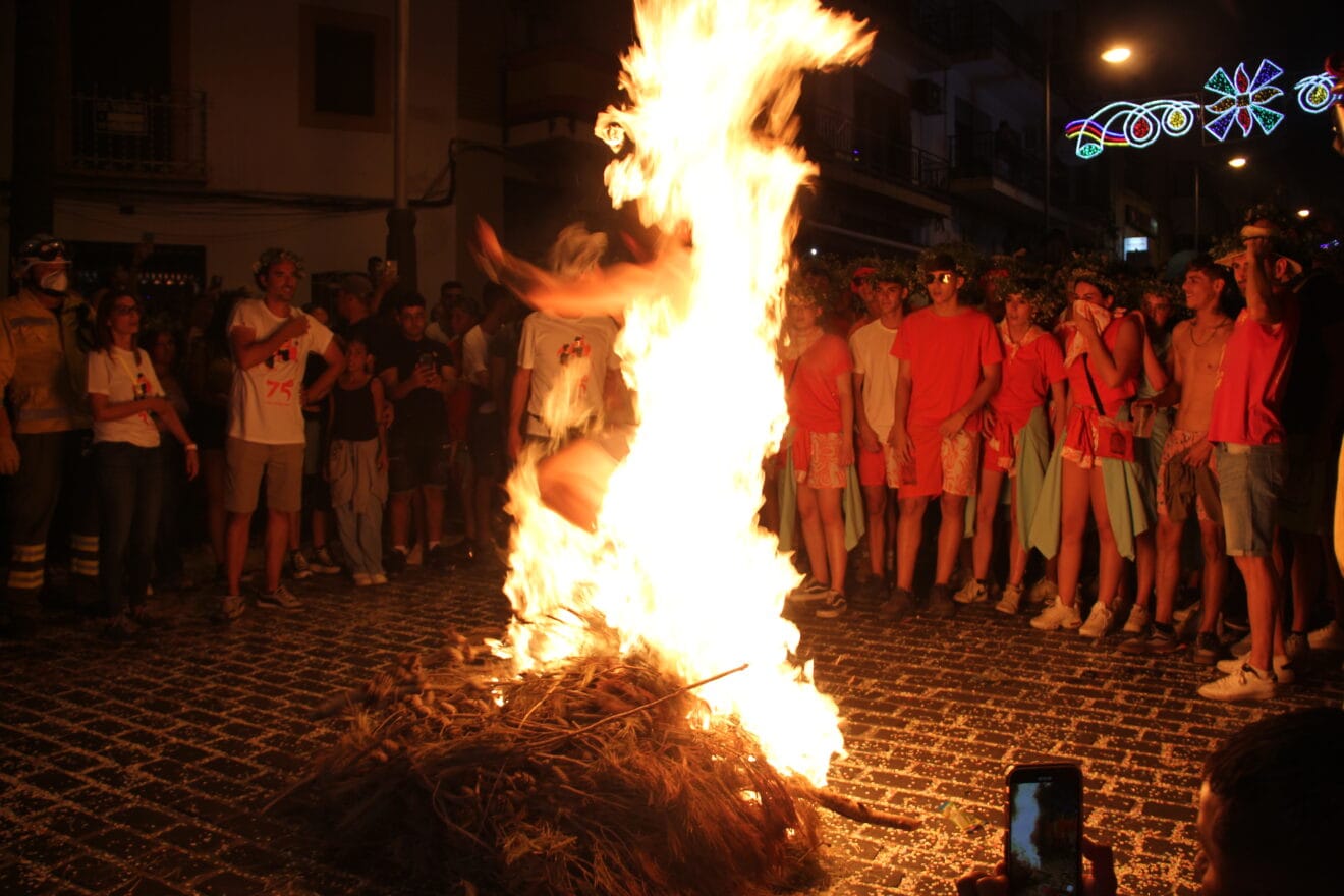 Nit dels Focs de Sant Joan (90)