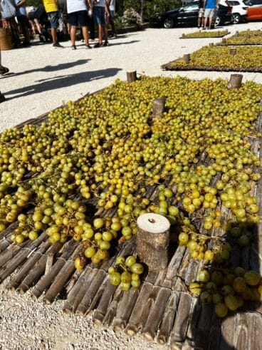 L’escaldà de la pansa a Xàbia | Foto Olimpia Bas