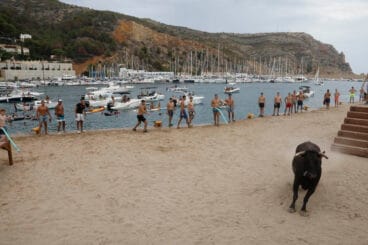 Primera sesión de Bous a la Mar Xàbia 2024 (1)