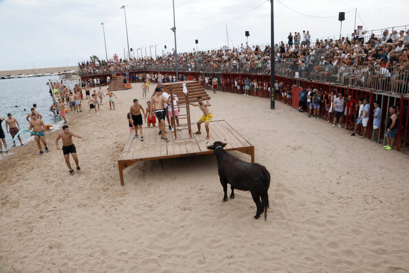 Primera sesión de Bous a la Mar Xàbia 2024 (11)