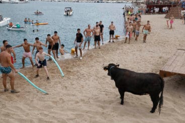 Primera sesión de Bous a la Mar Xàbia 2024 (14)