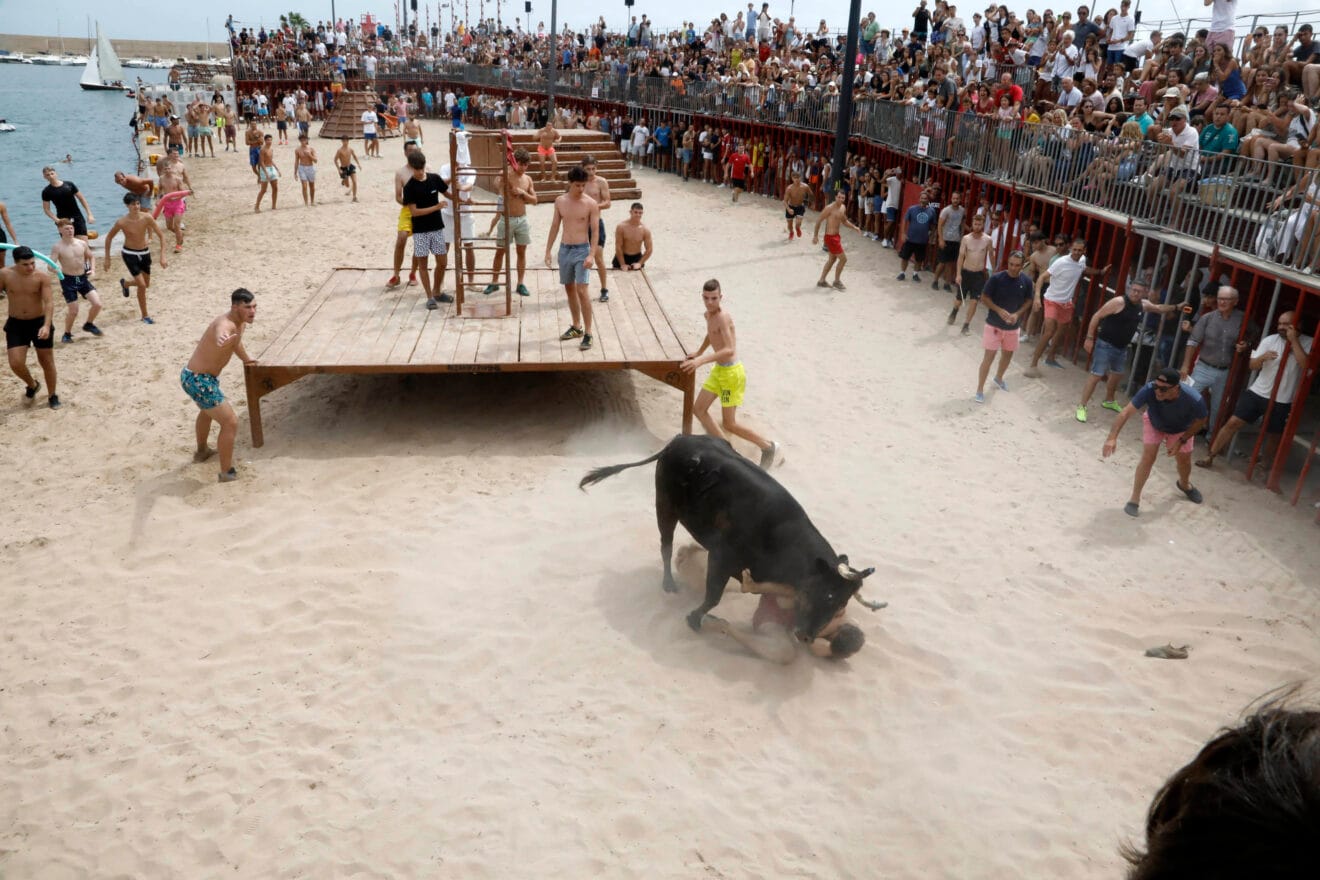 Primera sesión de Bous a la Mar Xàbia 2024 (24)