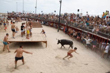 Primera sesión de Bous a la Mar Xàbia 2024 (27)