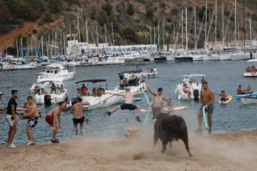 Primera sesión de Bous a la Mar Xàbia 2024 (3)
