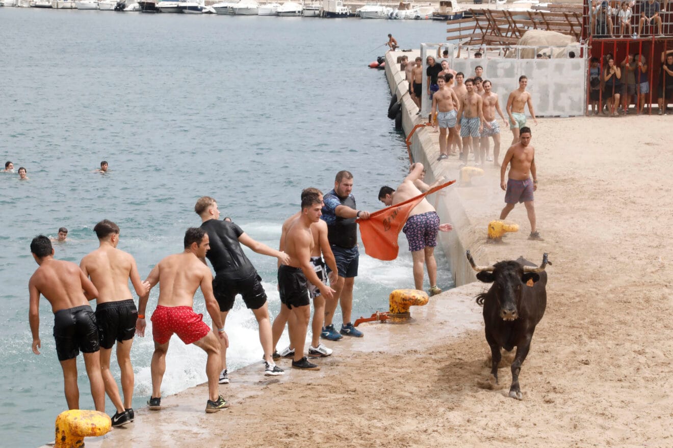 Primera sesión de Bous a la Mar Xàbia 2024 (31)