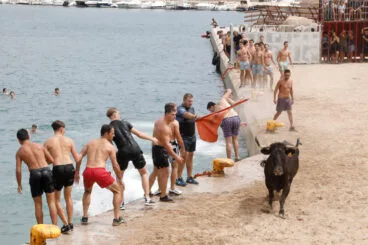 Primera sesión de Bous a la Mar Xàbia 2024 (31)