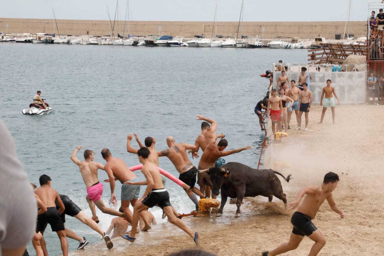 Primera sesión de Bous a la Mar Xàbia 2024 (34)