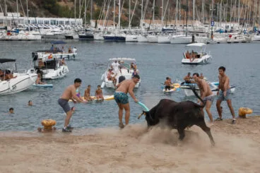 Primera sesión de Bous a la Mar Xàbia 2024 (4)