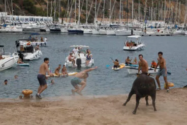 Primera sesión de Bous a la Mar Xàbia 2024 (5)