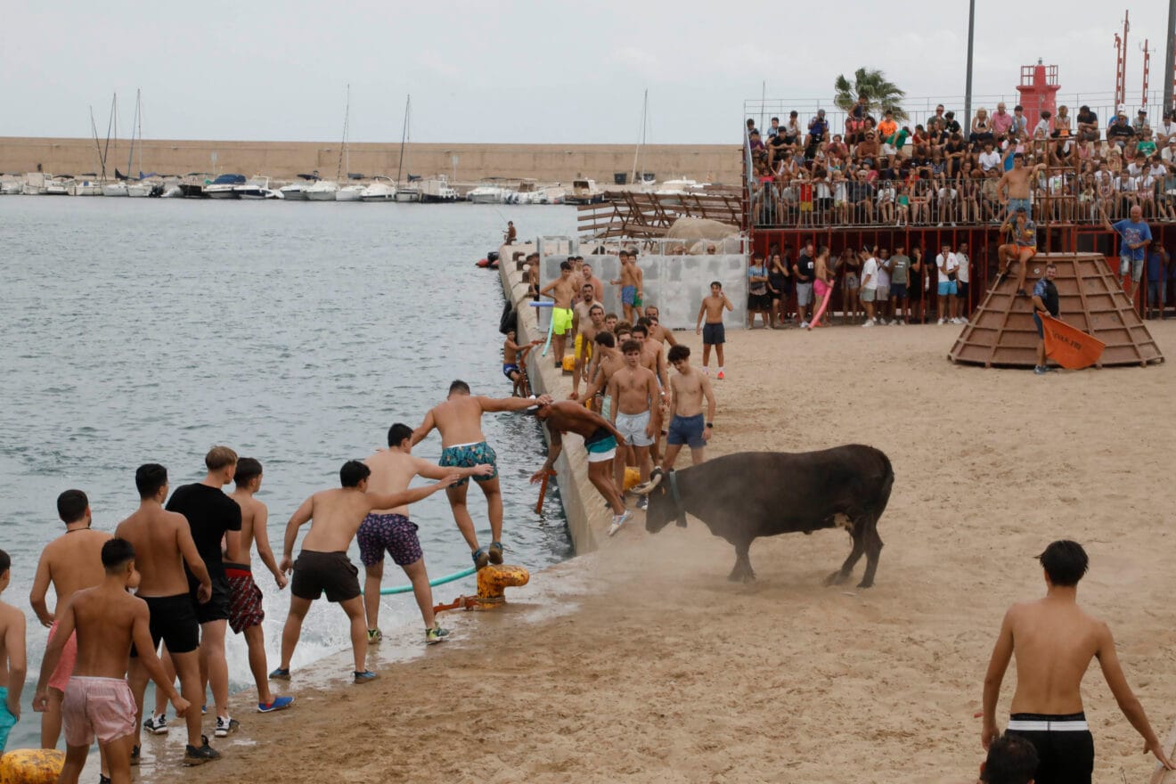 Primera sesión de Bous a la Mar Xàbia 2024 (8)