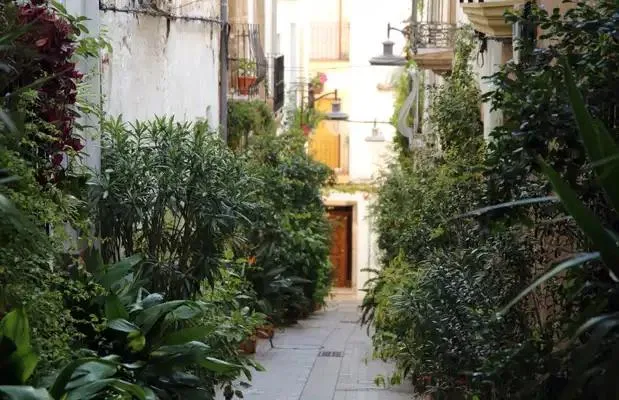 Imagen: Carrer Estret en el centro histórico de Xàbia