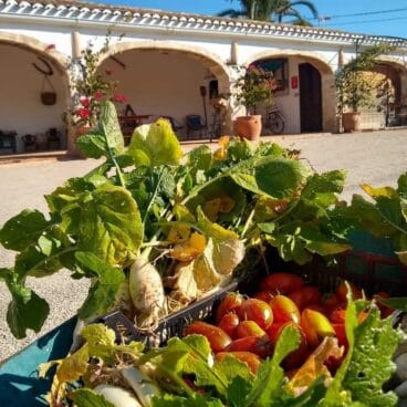 Riurau la Seniola y las hortalizas | Foto @riuraudelaseniola