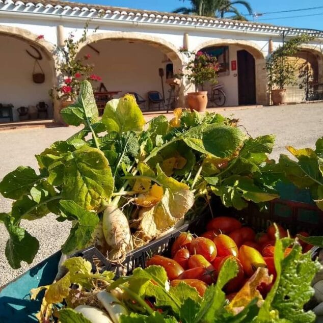 Imagen: Riurau la Seniola y las hortalizas | Foto @riuraudelaseniola